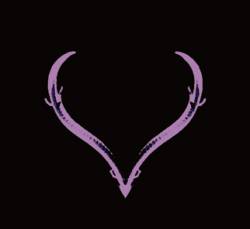 Blind Cave Salamander : Troglobite